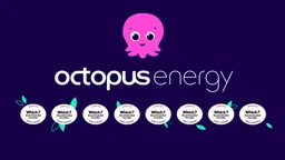 Octoenergy