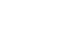 Pilot